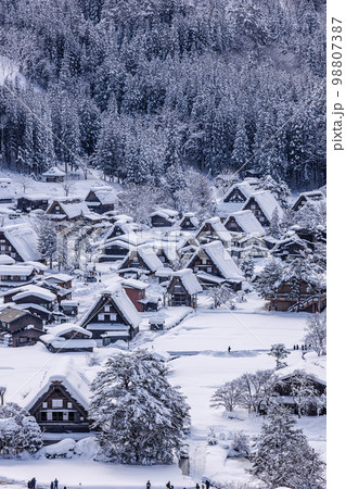 雪の白川郷 雪の白川郷 98807387