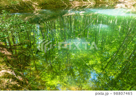 新緑・エコイメージ 98807465