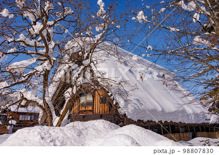 雪の白川郷 98807830