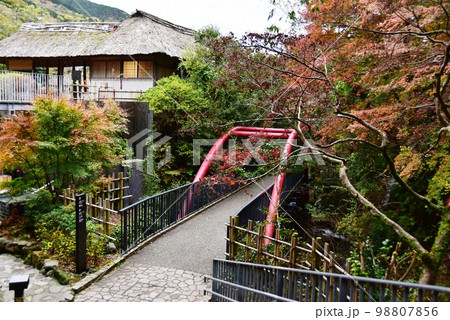湯河原町　万葉公園湯河原惣湯の万葉亭と散策路と紅葉 98807856