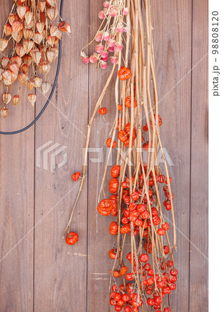 雪の白川郷 雪の白川郷 98808120