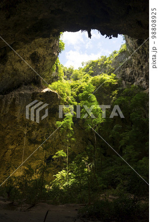 The light shining through trees from top to bottom inside the cave of Phraya Nakhon Cave at Prachuap Khiri Khan, Thailand. 98808925