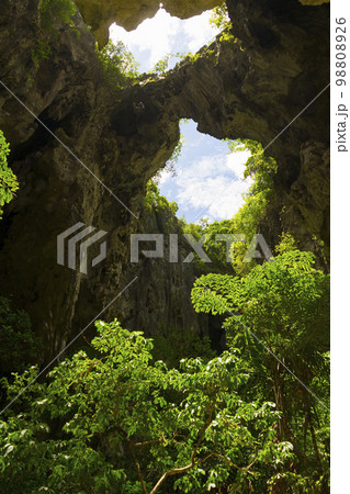 The light shining through trees from top to bottom inside the cave of Phraya Nakhon Cave at Prachuap Khiri Khan, Thailand. The light shining through trees from top to bottom inside the cave of Phraya Nakhon Cave at Prachuap Khiri Khan, Thailand. 98808926