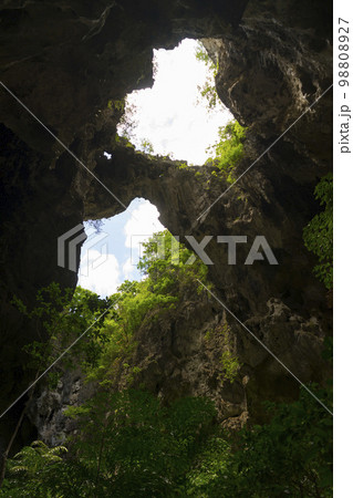 The light shining through trees from top to bottom inside the cave of Phraya Nakhon Cave at Prachuap Khiri Khan, Thailand. The light shining through trees from top to bottom inside the cave of Phraya Nakhon Cave at Prachuap Khiri Khan, Thailand. 98808927