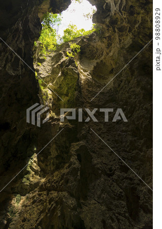 The light shining through trees from top to bottom inside the cave of Phraya Nakhon Cave at Prachuap Khiri Khan, Thailand. The light shining through trees from top to bottom inside the cave of Phraya Nakhon Cave at Prachuap Khiri Khan, Thailand. 98808929
