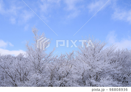 樹氷と青空 98808936