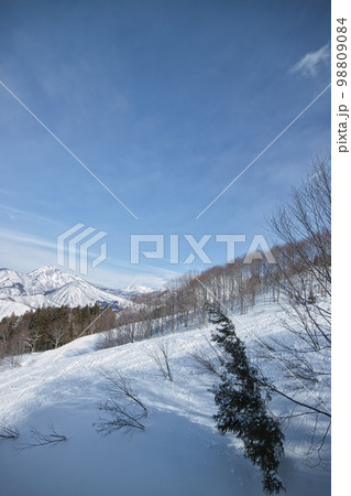 雪山 スキー場からの風景 雪山 スキー場からの風景 98809084