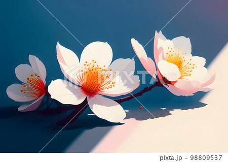 落ちた桜の花 カットアウト 落ちた桜の花 カットアウト 98809537