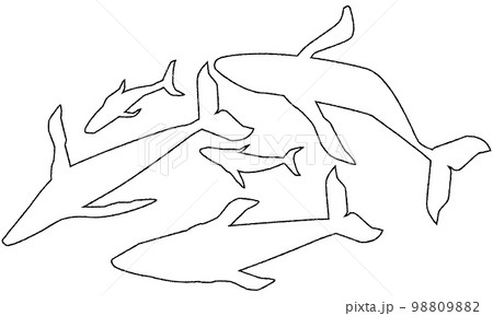 ザトウクジラのイラスト ザトウクジラのイラスト 98809882