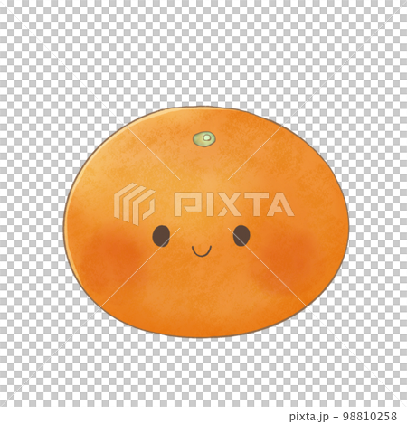 かわいい　顔つきみかん 98810258