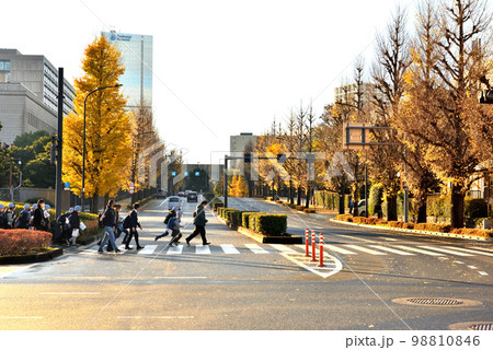 横断歩道を渡る国会議事堂見学した小学生 98810846