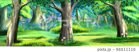 Tree trunk in a forest illustration 98811110