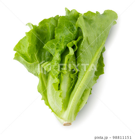 Lettuce Romain isolated on a white background 98811151