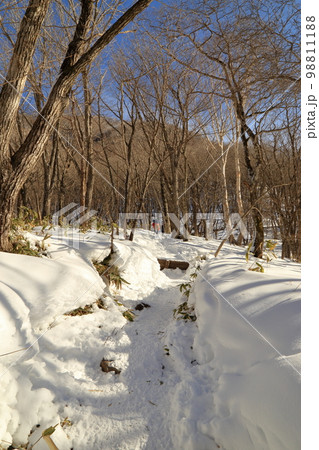 厳冬期の赤城山の風景 ( 駒ヶ岳登山口からの登山道 / 2023年1月 ) 98811188