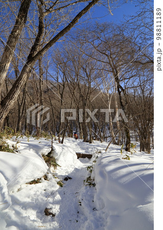 厳冬期の赤城山の風景 ( 駒ヶ岳登山口からの登山道 / 2023年1月 ) 98811189