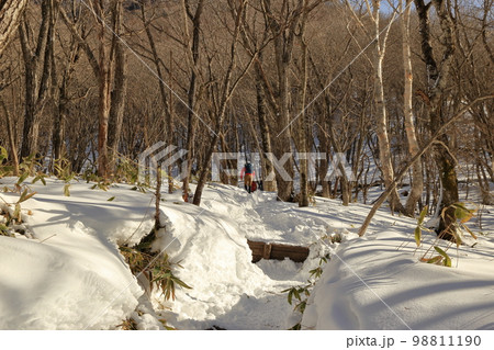 厳冬期の赤城山の風景 ( 駒ヶ岳登山口からの登山道 / 2023年1月 ) 98811190