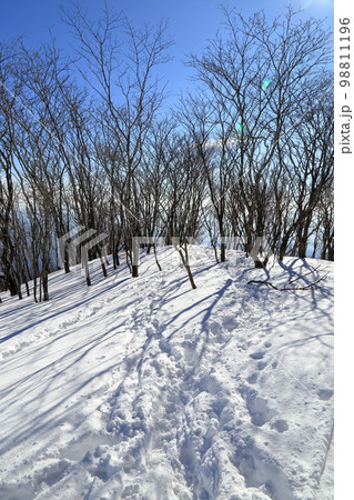 厳冬期の赤城山の風景 ( 駒ヶ岳登山口からの登山道 / 2023年1月 ) 厳冬期の赤城山の風景 ( 駒ヶ岳登山口からの登山道 / 2023年1月 ) 98811196