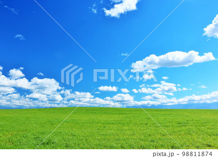 北海道 夏の青空と新緑の草原風景 北海道 夏の青空と新緑の草原風景 98811874