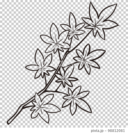 像楓木黑白剪紙一樣的線條畫 98812081