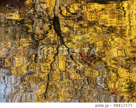 秋の虎渓山永保寺の景色 秋の虎渓山永保寺の景色 98812575