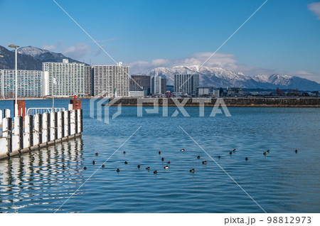 琵琶湖大津港冬景色 98812973