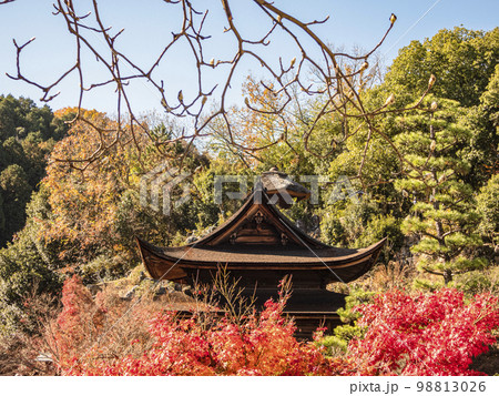 秋の虎渓山永保寺の景色 98813026