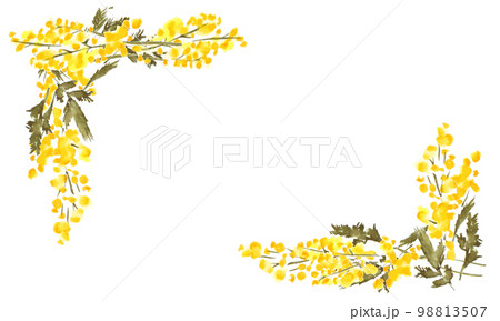 水彩画。水彩タッチのミモザベクターフレーム。水彩のミモザ装飾フレーム。 水彩画。水彩タッチのミモザベクターフレーム。水彩のミモザ装飾フレーム。 98813507