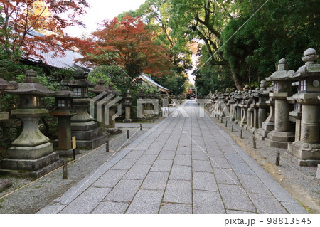 京都にある日本の神社:岩清水八幡境内にある総門から見た参道の風景 京都にある日本の神社:岩清水八幡境内にある総門から見た参道の風景 98813545
