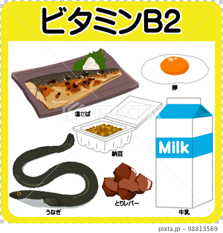ビタミンB2のイラスト 98813569