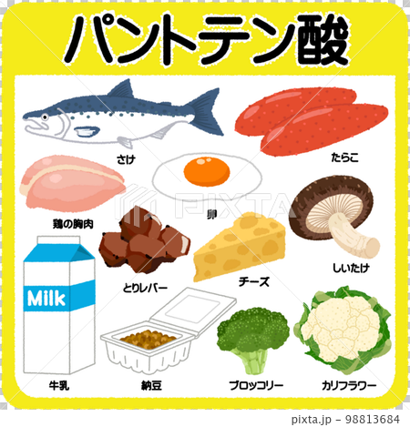 パントテン酸(ビタミンB群)のイラスト パントテン酸(ビタミンB群)のイラスト 98813684