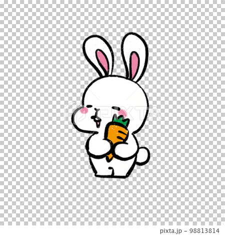 拿著胡蘿蔔的兔子插畫 98813814