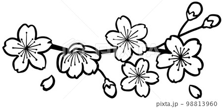 桜の切絵の様な黒い線のイラスト 98813960