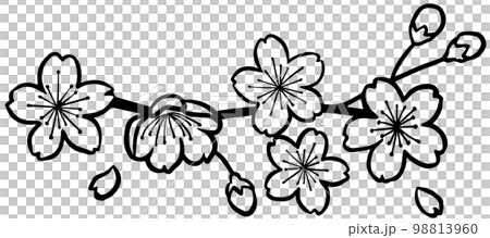 桜の切絵の様な黒い線のイラスト 98813960