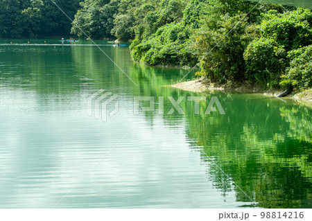 三重県四日市市　初秋の伊坂ダムでカヌーの練習をする人 98814216