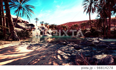 An desert oasis in the Oman An desert oasis in the Oman 98814278