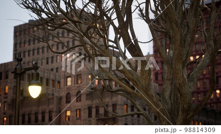 Building of street of New York Building of street of New York 98814309