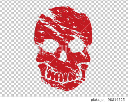 頭蓋骨　髑髏　骸骨 98814325