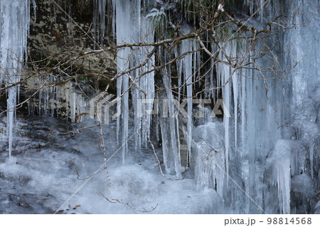 三十槌の氷柱　埼玉県秩父市　みそつちのつらら 98814568