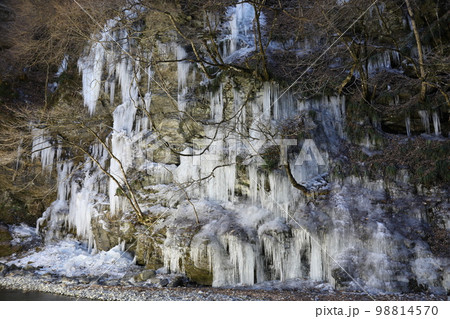 三十槌の氷柱 埼玉県秩父市 みそつちのつらら 三十槌の氷柱 埼玉県秩父市 みそつちのつらら 98814570