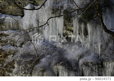 三十槌の氷柱 埼玉県秩父市 みそつちのつらら 三十槌の氷柱 埼玉県秩父市 みそつちのつらら 98814571