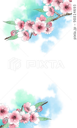 手描きの桜の花の背景　縦型イラスト 98814693