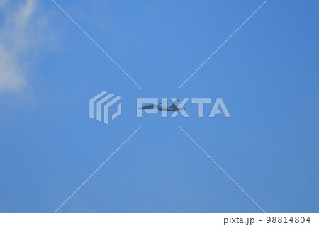 インド空軍スホーイSu-30MKI インド空軍スホーイSu-30MKI 98814804