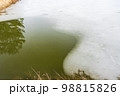 薄い氷が張った沼の水面 98815826