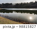 水面に太陽が映る薄い氷が張った沼1 98815827