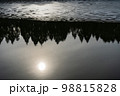 水面に太陽が映る薄い氷が張った沼2 98815828