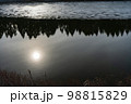 水面に太陽が映る薄い氷が張った沼3 98815829