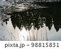 薄氷が張った水面に映る太陽と林 98815831