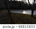 木漏れ日に照らされる薄氷が張った水面の景色2 98815833