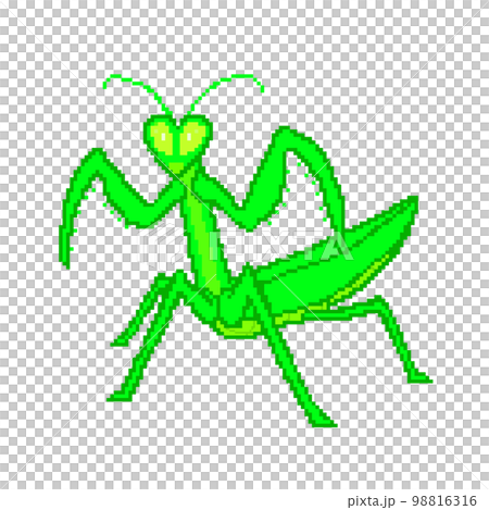 螳螂_點圖 螳螂_點圖 98816316