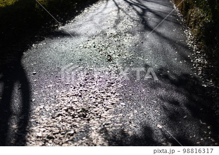雨上がり 雨上がり 98816317